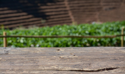 Fototapeta premium wooden deck table with strawberry field