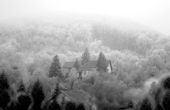 Fototapeta WINTER BLACK-WHITE - freezing day. 