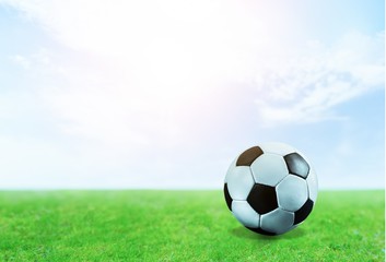 Fototapeta premium Soccer.