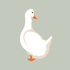 duck vector illustration style Flat