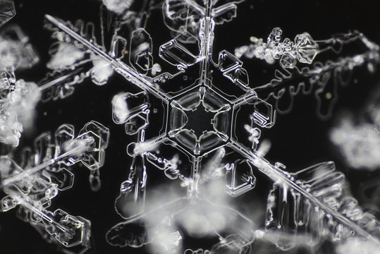 Extreme closeup of natural snowflakes