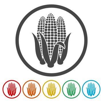 Corn symbol icon 