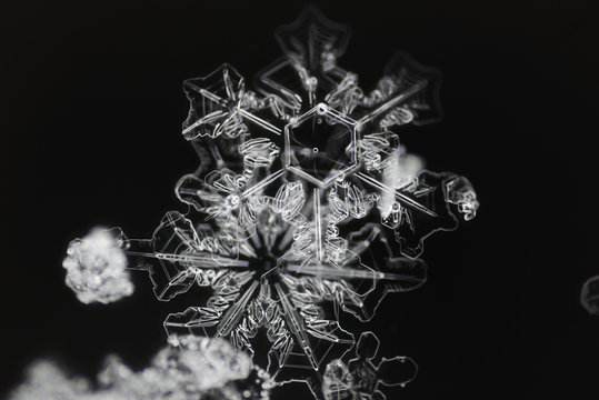Extreme closeup of natural snowflakes