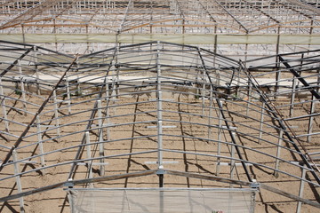 serra, punta braccetto, santa croce camerina
