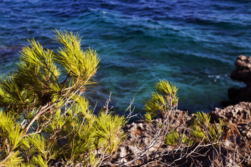 Ivan Dolac (Hvar island - Croatia) coastline