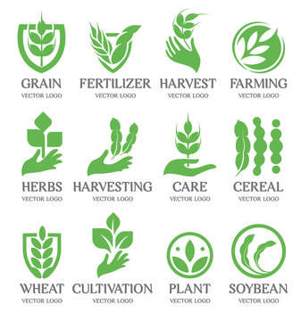 Isolated abstract green color wheat ear logo collection. Nature element logotype set. Leaf in human hand icon. Agricultural organic products signs. Harvesting vector illustration.