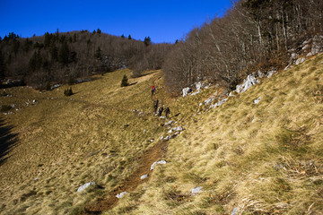 Obraz premium Hikers on trail through Northern Velebit, national park in Croatia