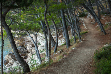 Beautiful landscape in Park Osejava near Makarska, Croatia