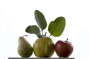 pear apple quince