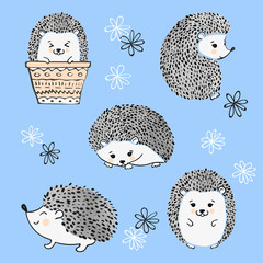 Set of cute watercolor hedgehogs. Vector illustration.  © Afanasia