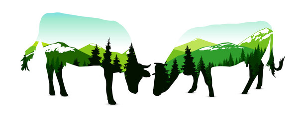 Obraz premium Silhouette of two cows with panorama of mountains. Snowy peaks. Natural shades.