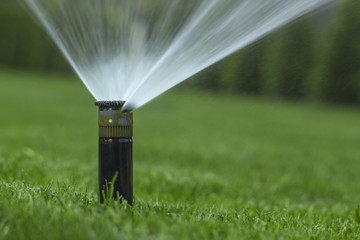 automatic sprinkler system watering the lawn on a background of green grass - obrazy, fototapety, plakaty