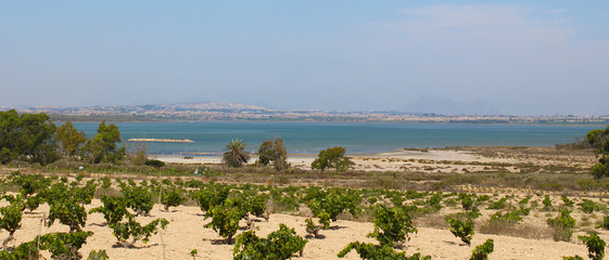 Parque Natural de La Mata y Torrevieja, Alicante