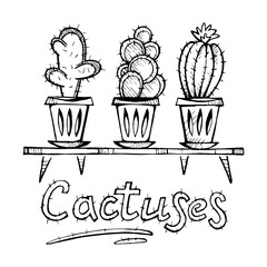  Cactus doodle set  sketch  of house plants.