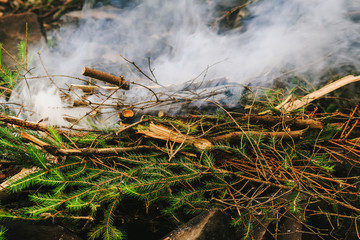 Campfire of pine branches in Carpathian mountains, summertime journey.