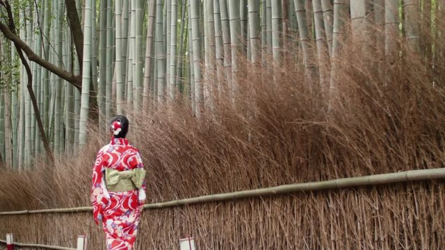 Japanese Kimono girl walking in Bamboo forest Kyoto Japan 