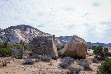 Split Granite Rock in Joshua Tree Park, California USA