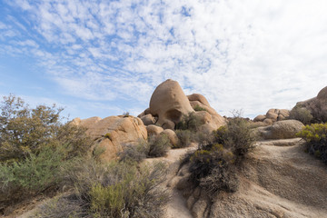 Sand Formation Skull Rock in Joshua Tree Park, Calfornia USA