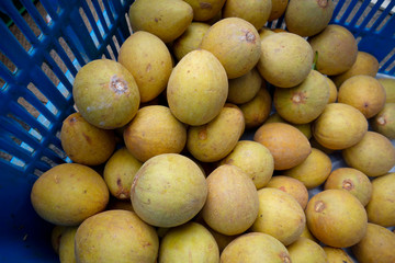 Chikoo/Sapota - Asian Fruit/Tropical Fruit/Sapodilla/Zapota