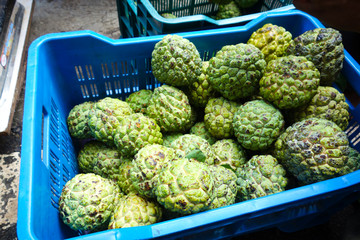 Custard Apple - Cherimoya/Tropical Fruit
