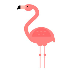 Cool pink flamingo vector illustration.