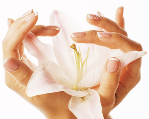 Fototapeta premium beauty delicate hands with manicure holding flower lily close up isolated on white
