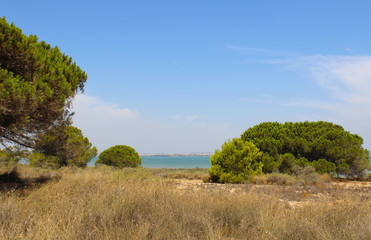 Fototapeta premium Parque Natural de La Mata y Torrevieja