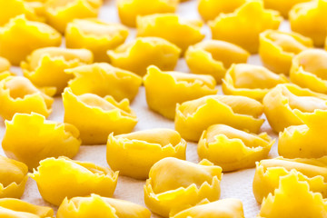 Tortellini in Bologna Italy