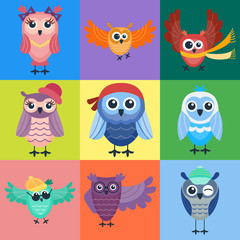 Cartoon owl vector isolated