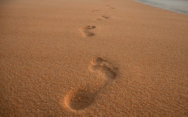 Fototapeta na wymiar Footprints on the sand at sunset