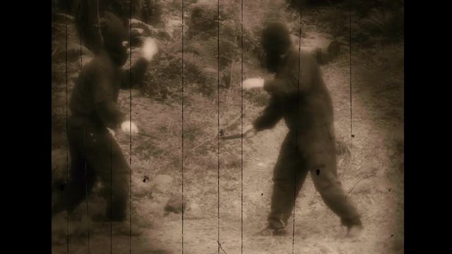 Combat Special Forces training