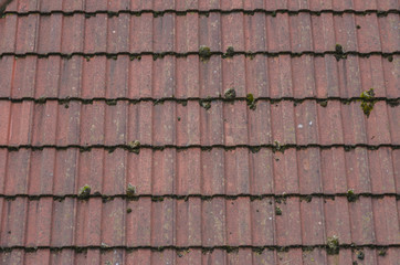 Detailed view of terracota coloured roofing tiles