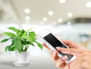 Iphone.