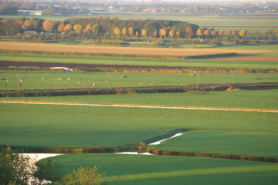 Weideland In Ungarn