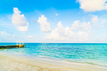 Fototapeta na wymiar Beautiful tropical Maldives island with white sandy beach and se