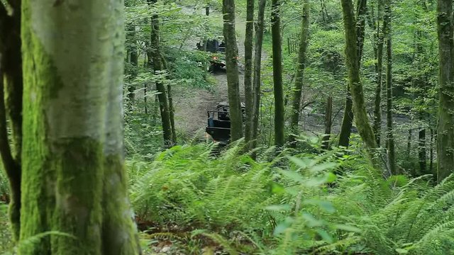 Combat Special Forces training