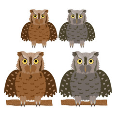 ヒガシアメリカオオコノハズク