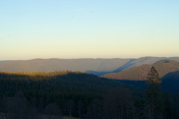 Blick vom Kandel im Schwarzwald