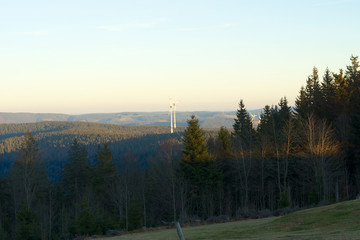 Blick vom Kandel im Schwarzwald