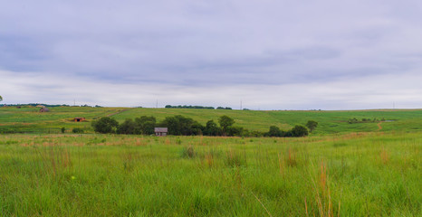 Path going through the misty green field.