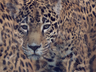 Fototapeta na wymiar Watercolor Leopard Background