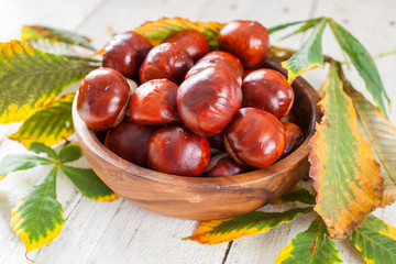 Obraz premium chestnuts in a bowl on a table, selective focus