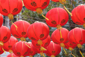 Traditional Chinese New Year Lantern Hanging