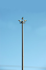 security cameras on the high pole monitoring traffic situation
