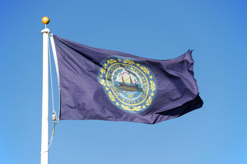 New Hampshire state flag waving under blue sky