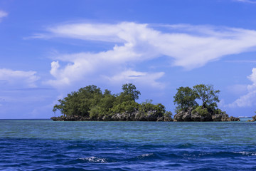 Fototapeta premium ロック・アイランドのサンゴ礁の海