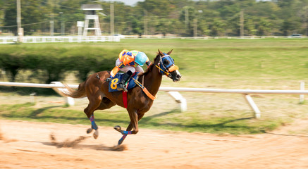 Nakorn-Rajsima,Thailand 22 Decenber 2016 ,Horse racing sport game for better in black and white