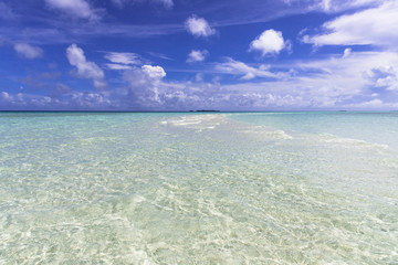 ロック・アイランドのサンゴ礁の海