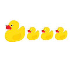 Duck family