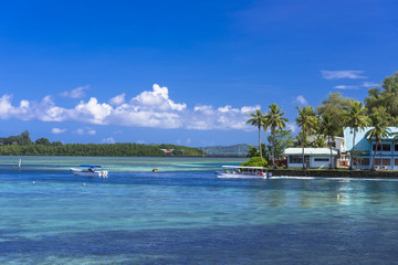 コロール島の美しい海